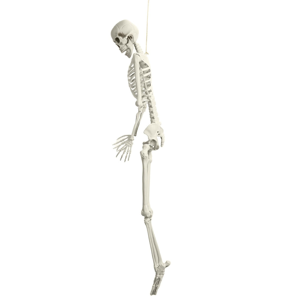 Life Size Poseable Skeleton with Movable Joints C85085