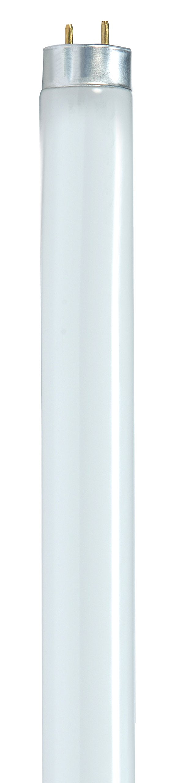24-Inch 6500K 17-Watt T8 Daylight Lamp I9846