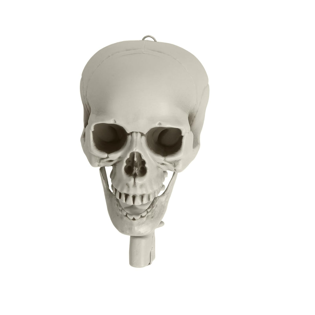 Life Size Poseable Skeleton with Movable Joints C85085