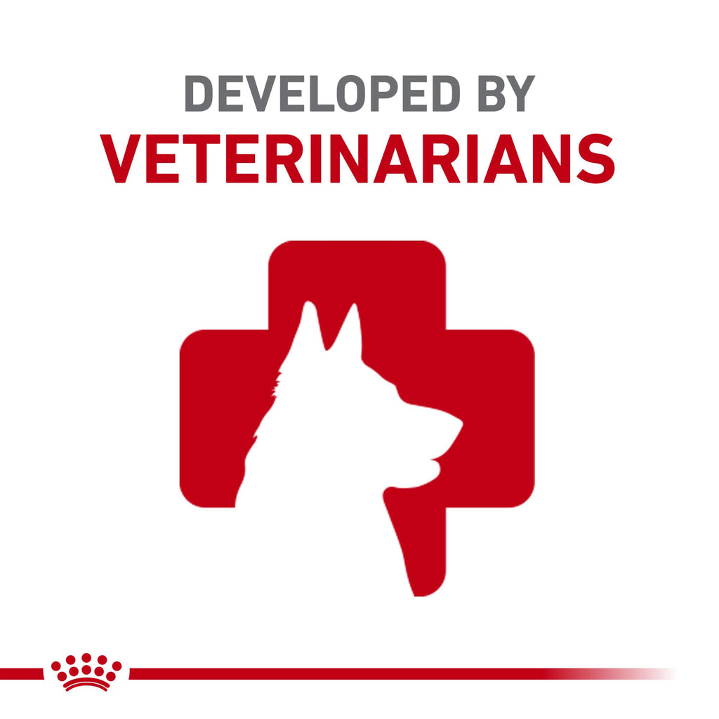Adult Dry Dog Food 10 lb Bag R75845