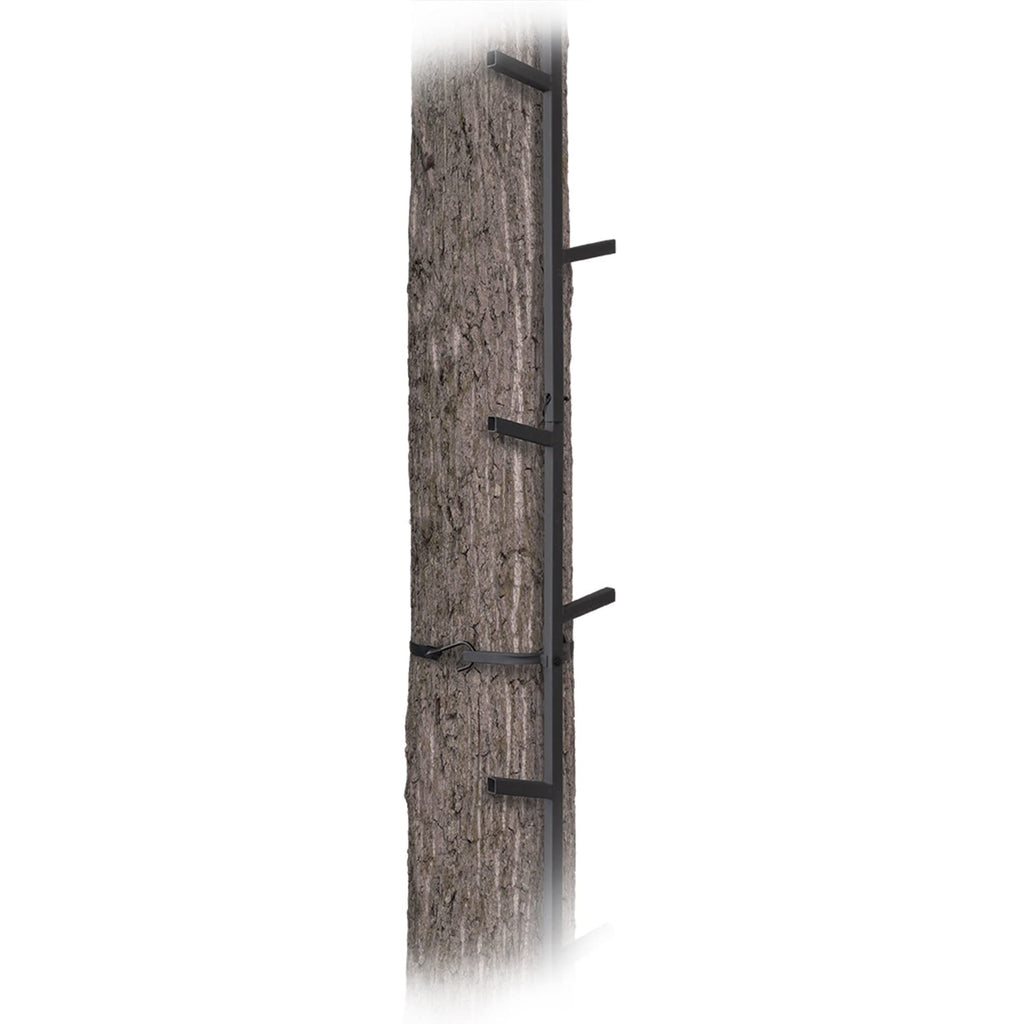 Climbing Ladder Sticks X795152