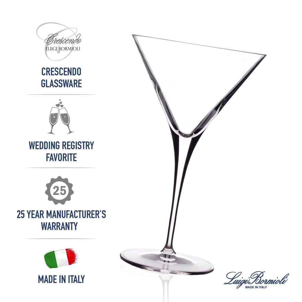 Clear 10 Oz Martini Glasses Set of 4 W2581