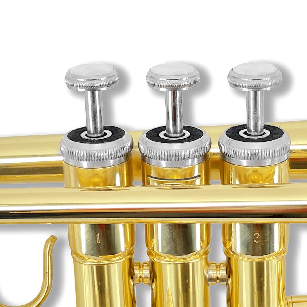 Standard Trumpet Set with Carrying Hard Case, 7C Mouthpiece, Cleaning Cloth and Gloves G989