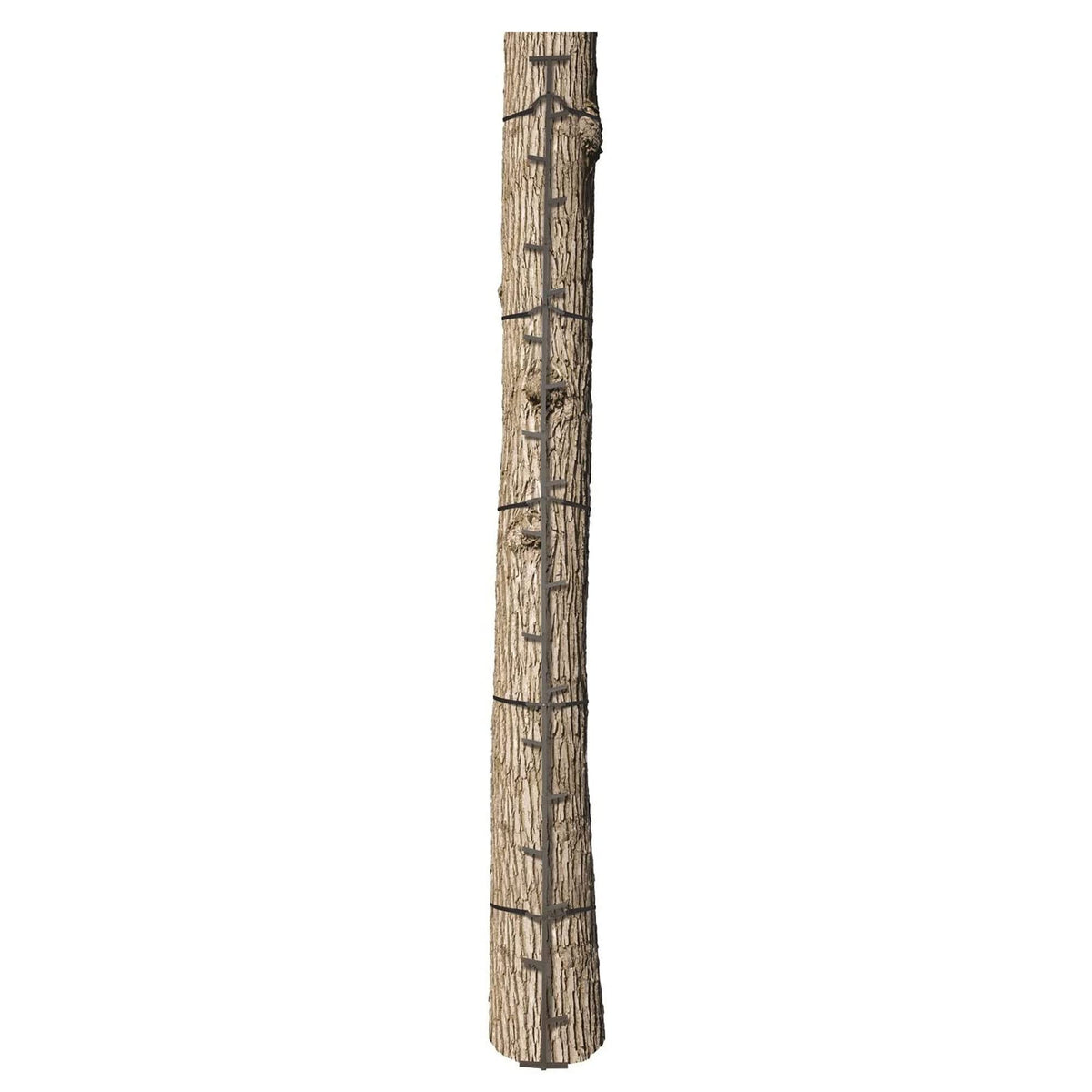 Climbing Ladder Sticks X795152