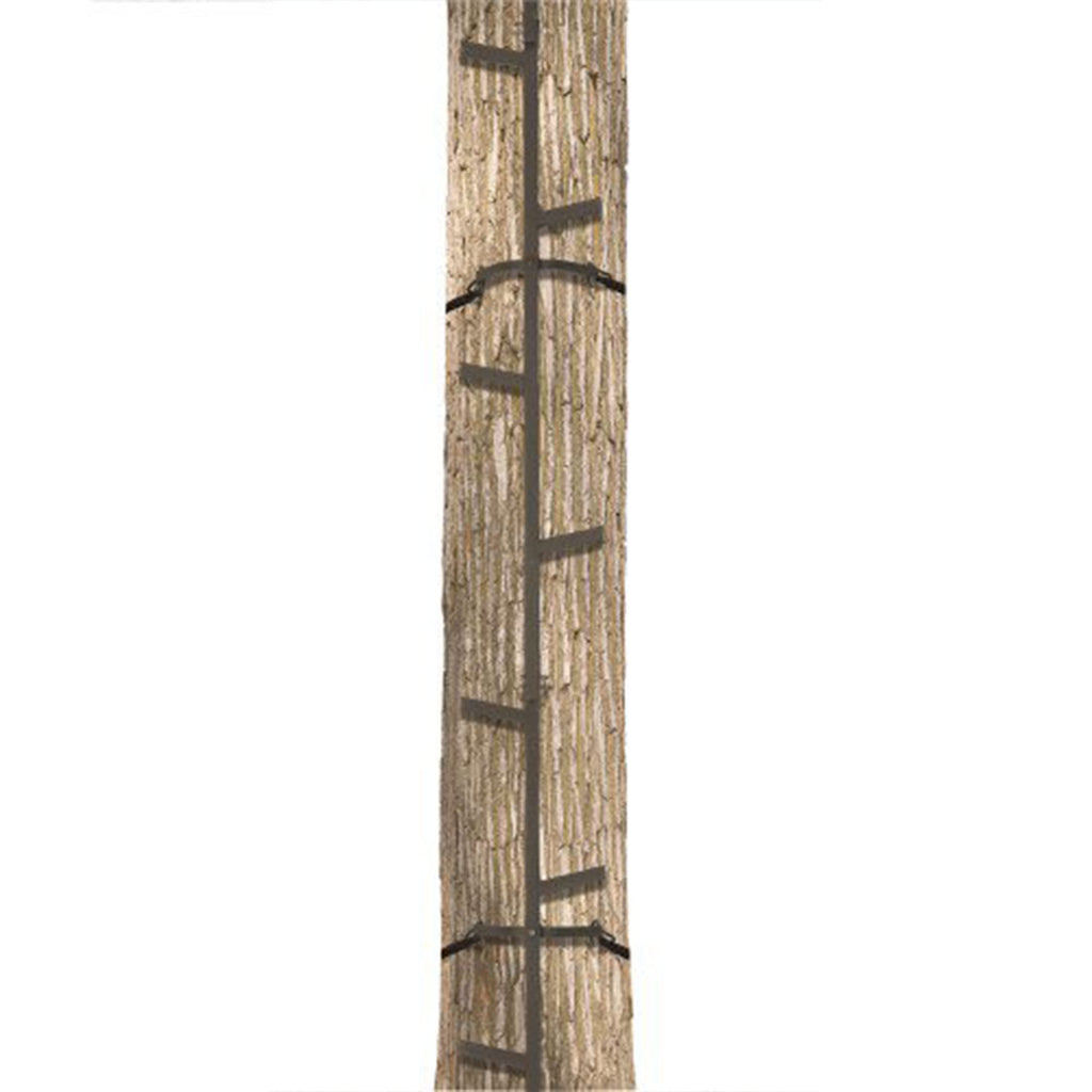 Climbing Ladder Sticks X795152