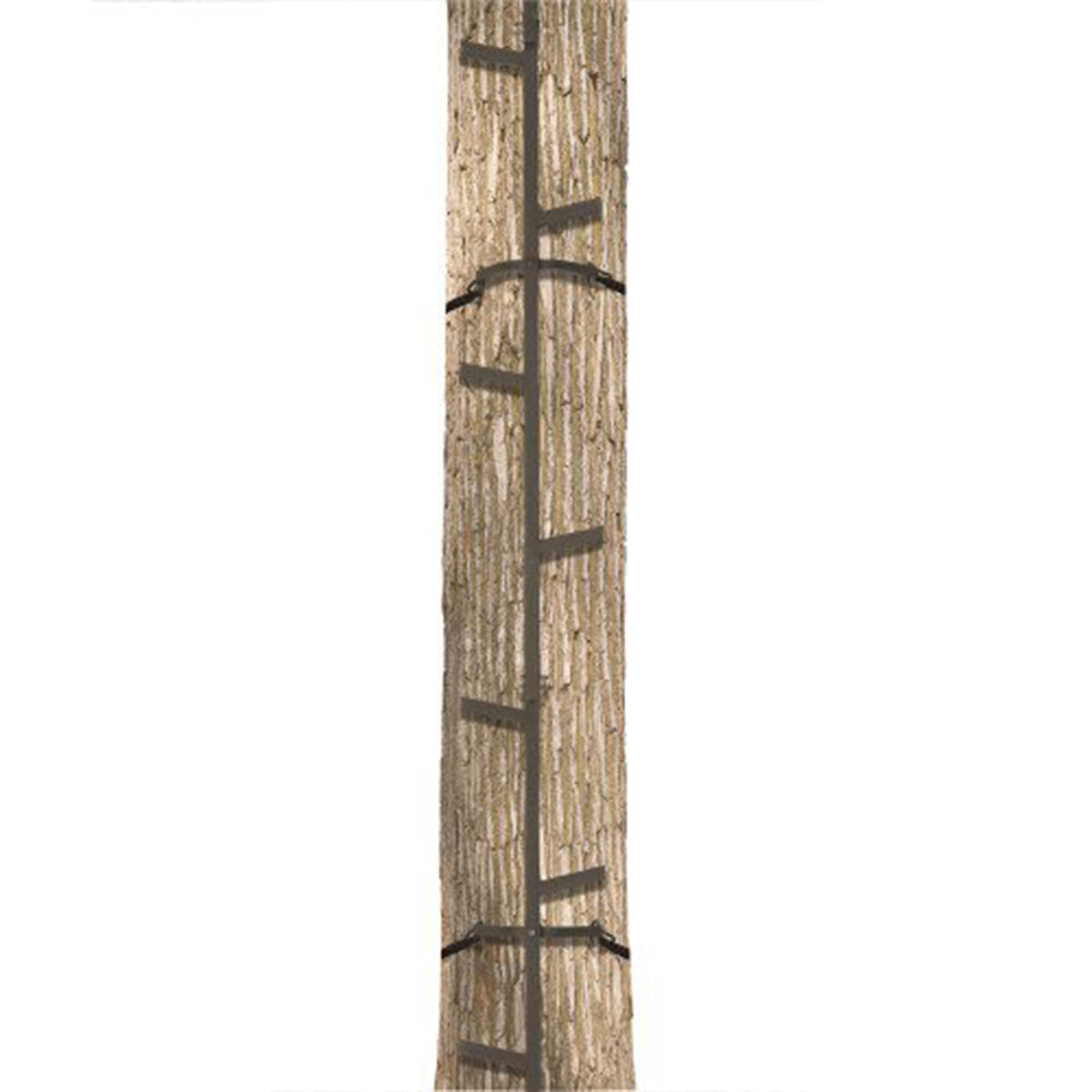 Climbing Ladder Sticks X795152