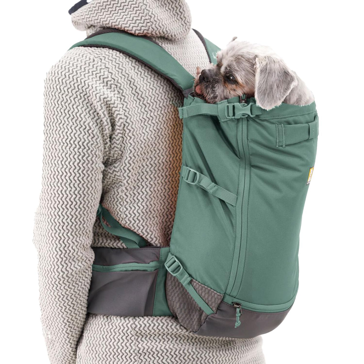 Dog Backpack Carrier Y277252