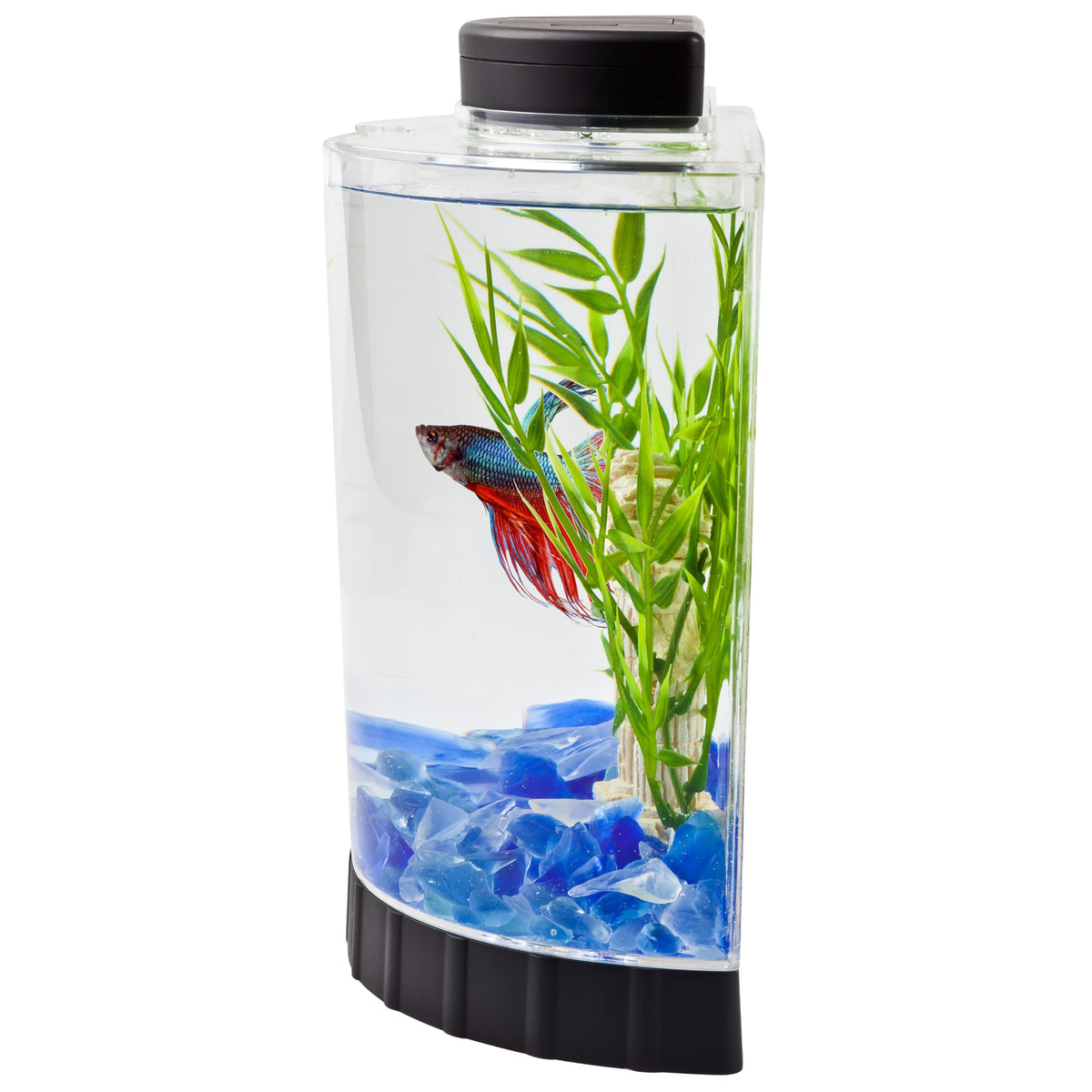 1.1 Gallon Fish Tank Kit K716