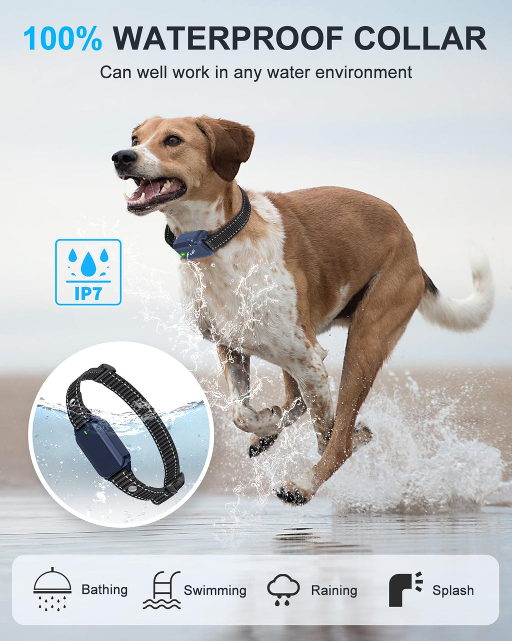 No Shock Dog Training Collar with Remote Waterproof Rechargeable X239685
