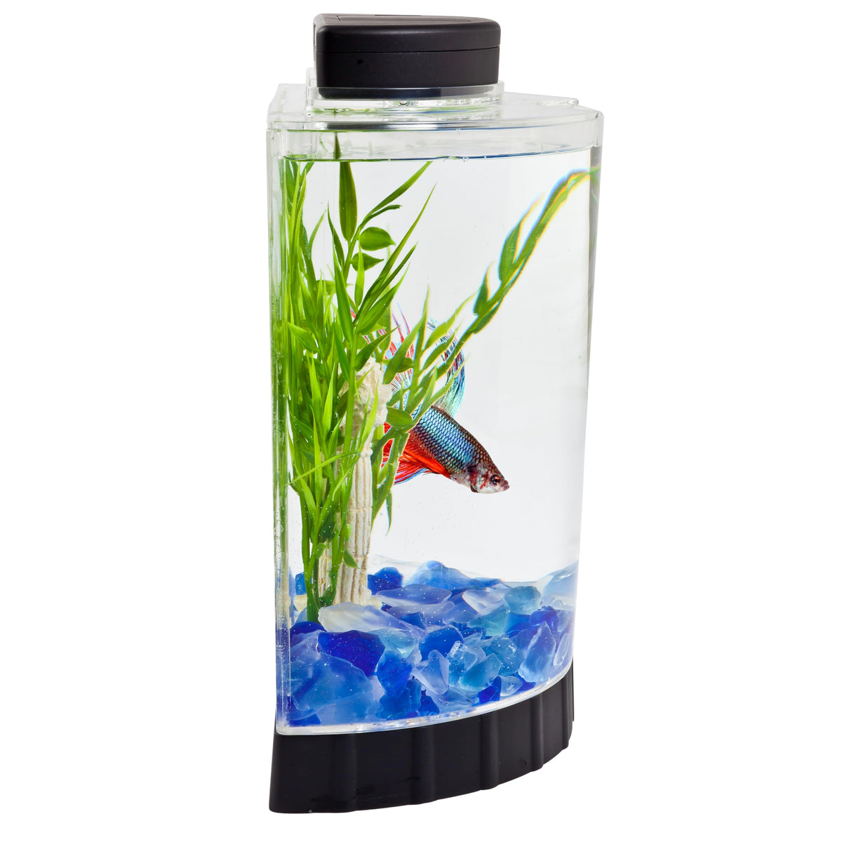1.1 Gallon Fish Tank Kit K716