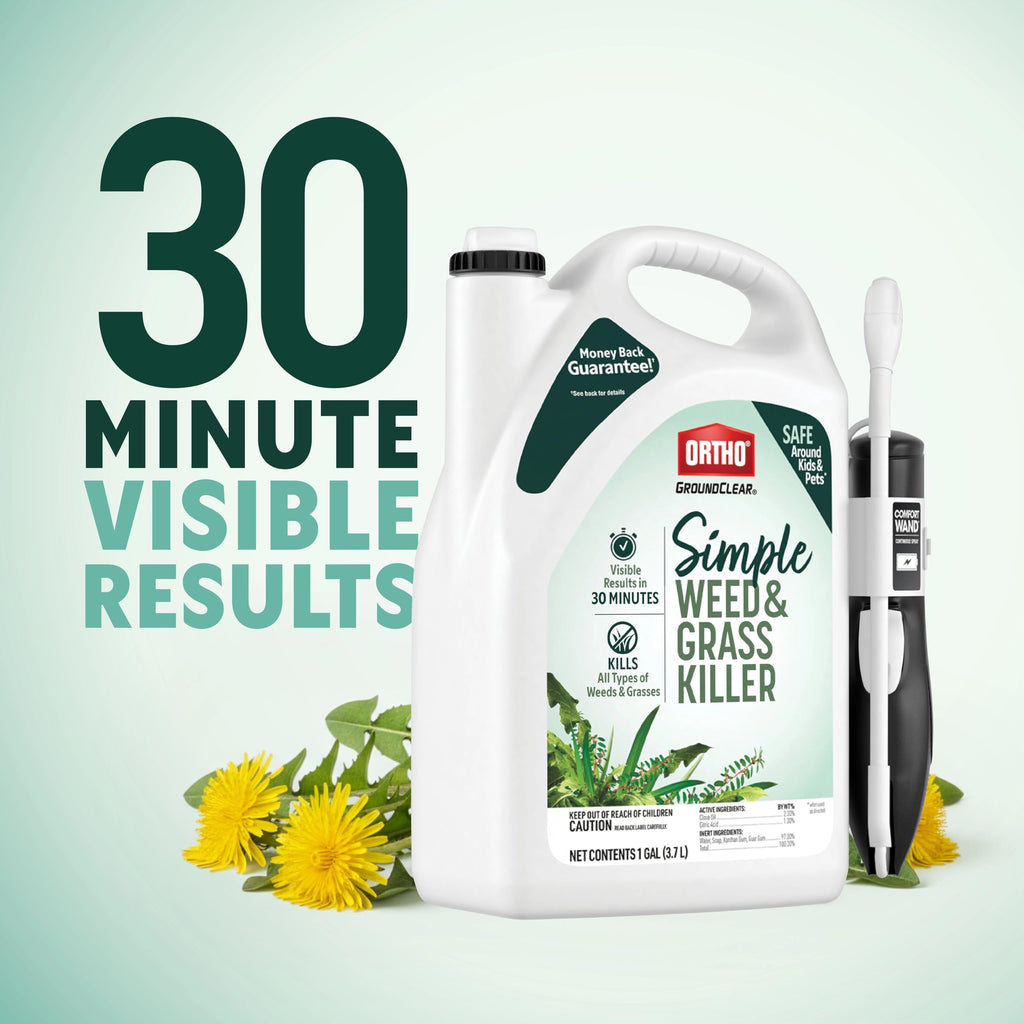 Weed & Grass Killer with Comfort Wand, 1 gal. F98361