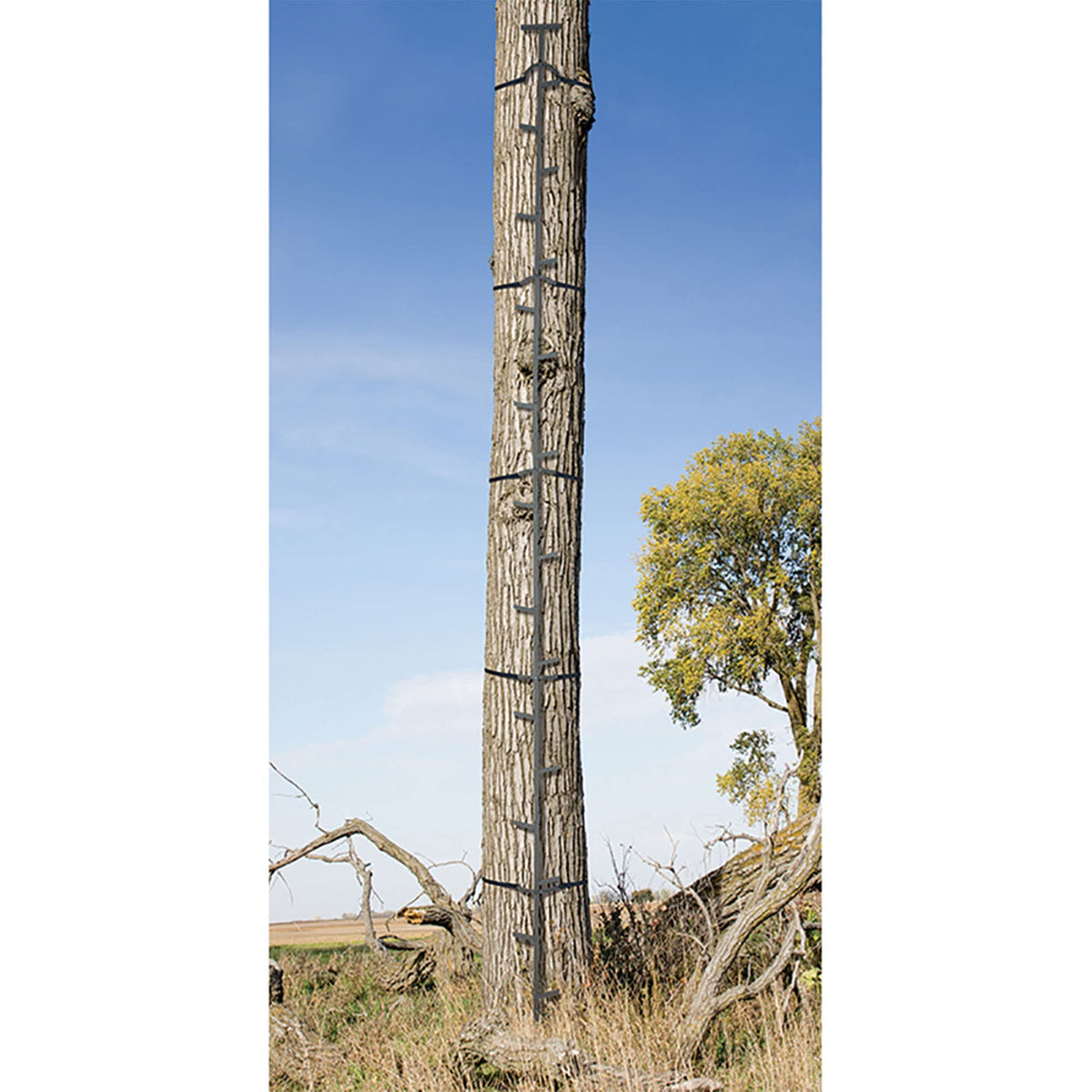 Climbing Ladder Sticks X795152
