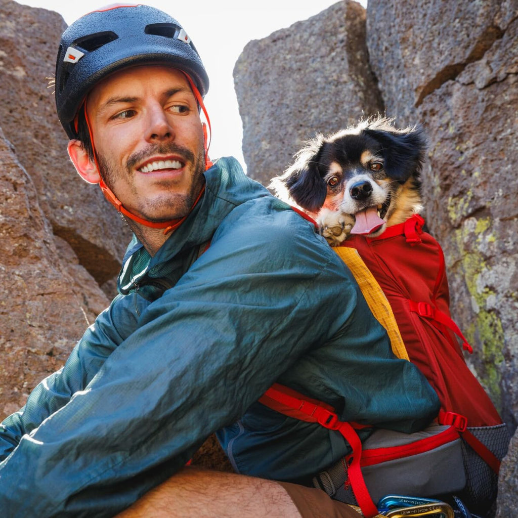 Dog Backpack Carrier Y277252