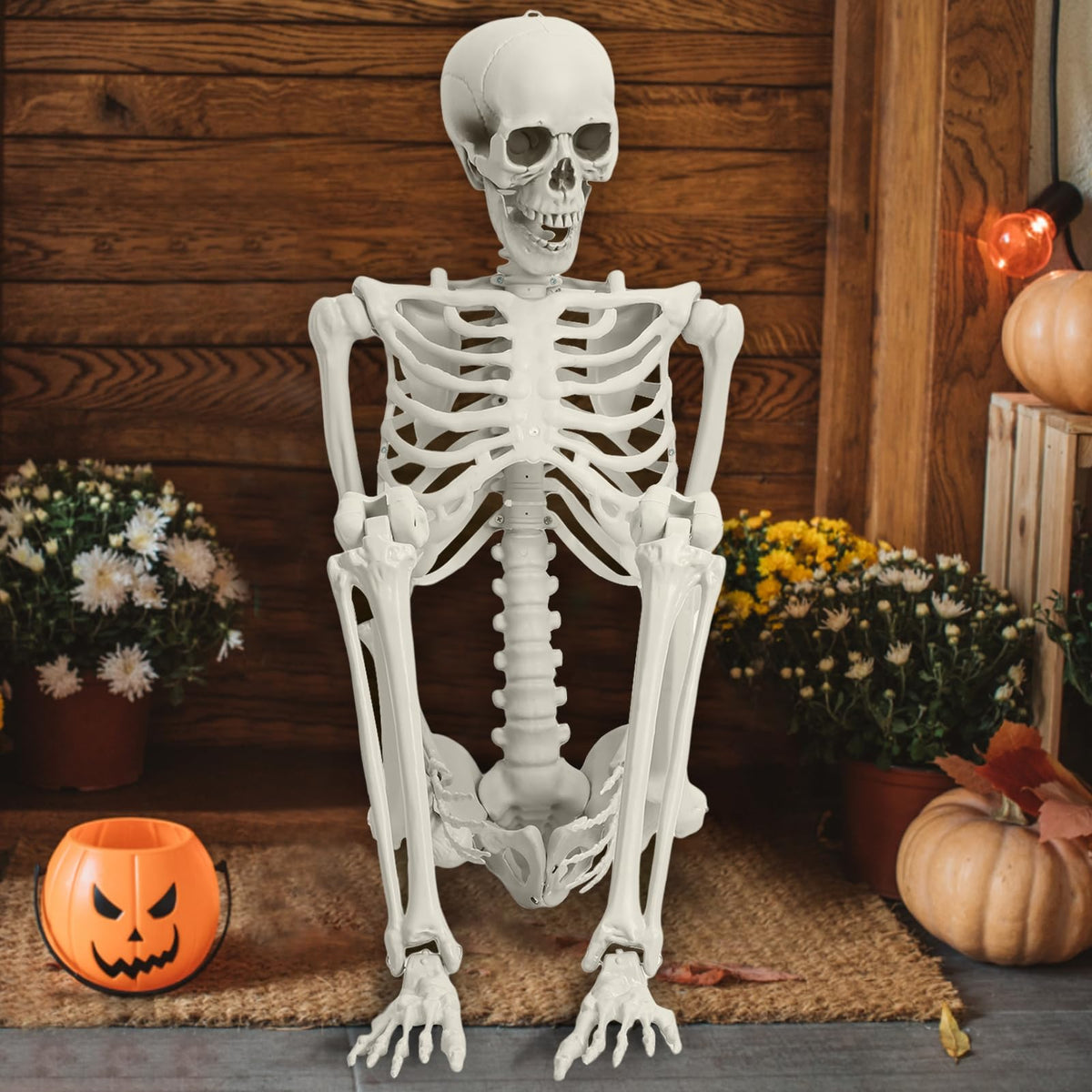 Life Size Poseable Skeleton with Movable Joints C85085