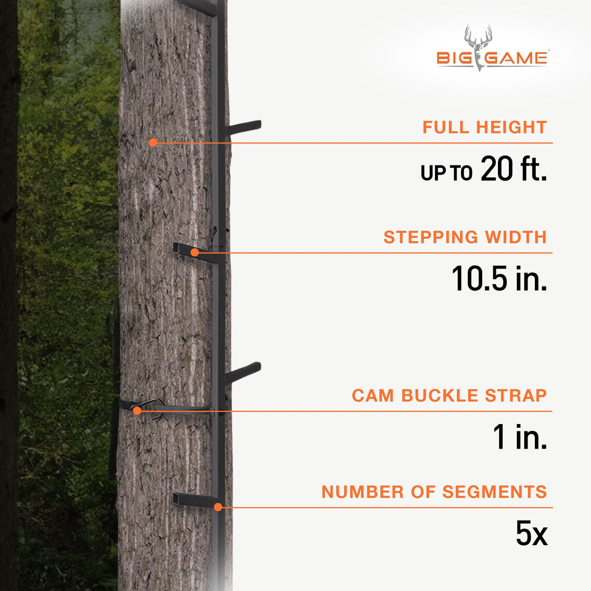 Climbing Ladder Sticks X795152