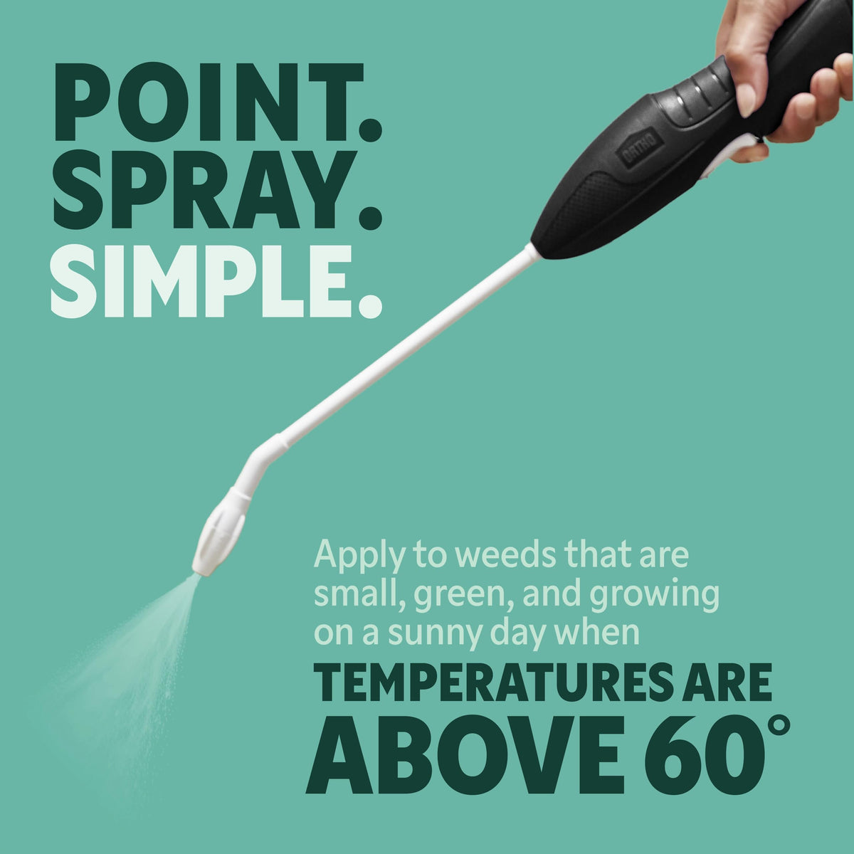 Weed & Grass Killer with Comfort Wand, 1 gal. F98361