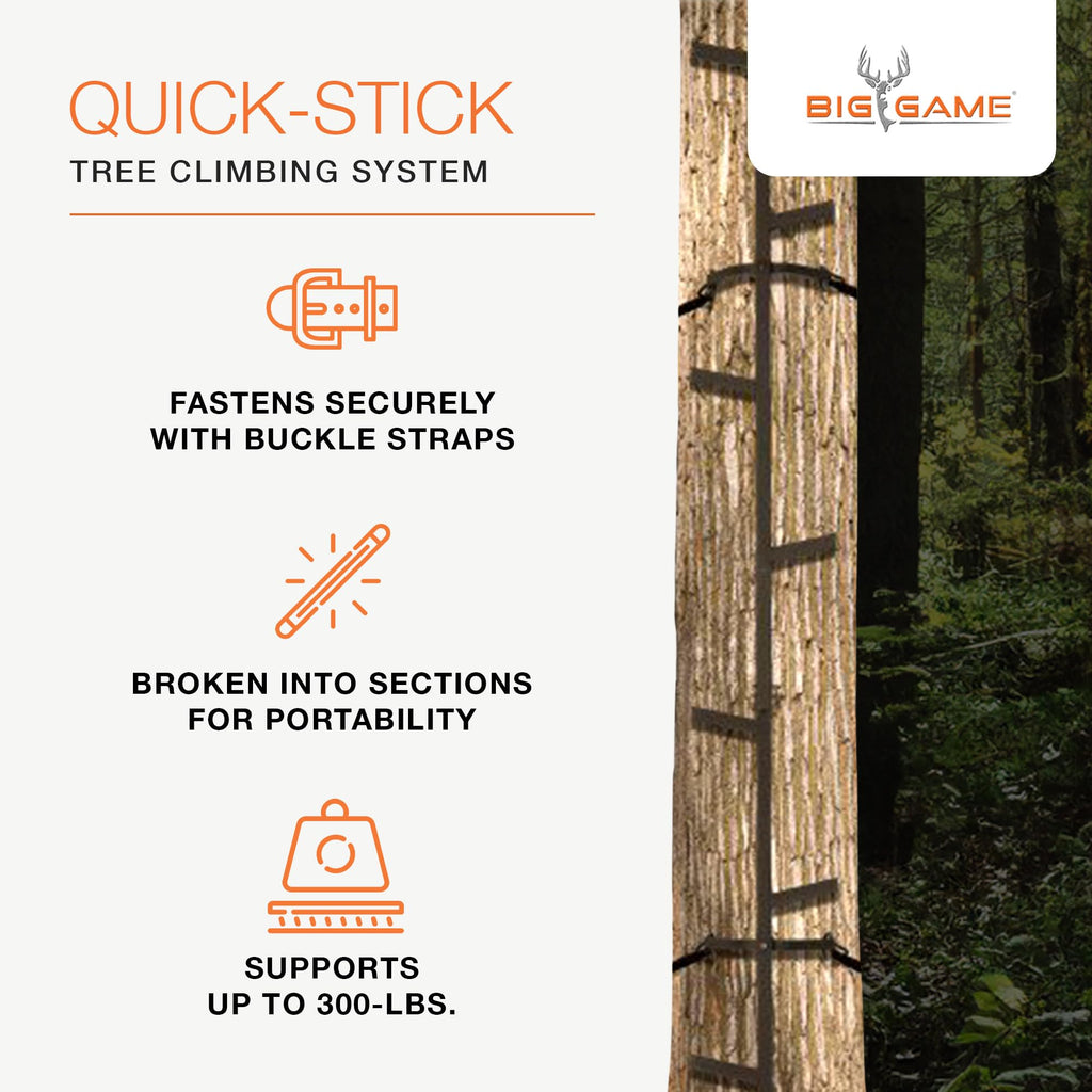 Climbing Ladder Sticks X795152