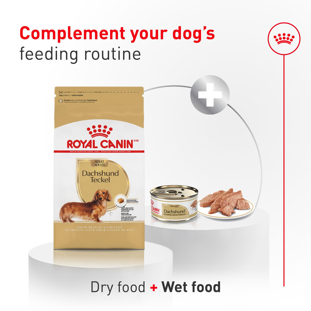 Adult Dry Dog Food 10 lb Bag R75845