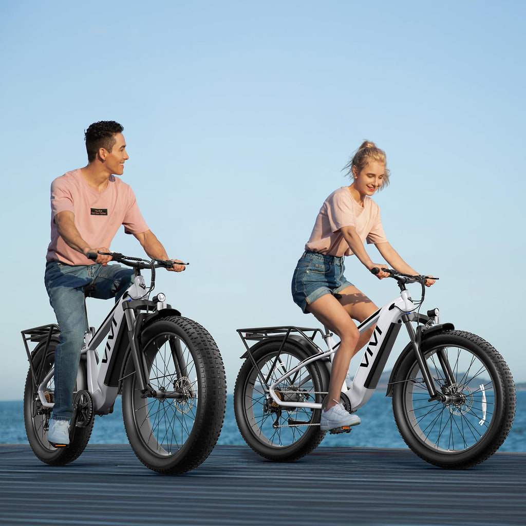 Electric Bike 26 x 4.0 Fat Tire 1500W Peak Motor M10126