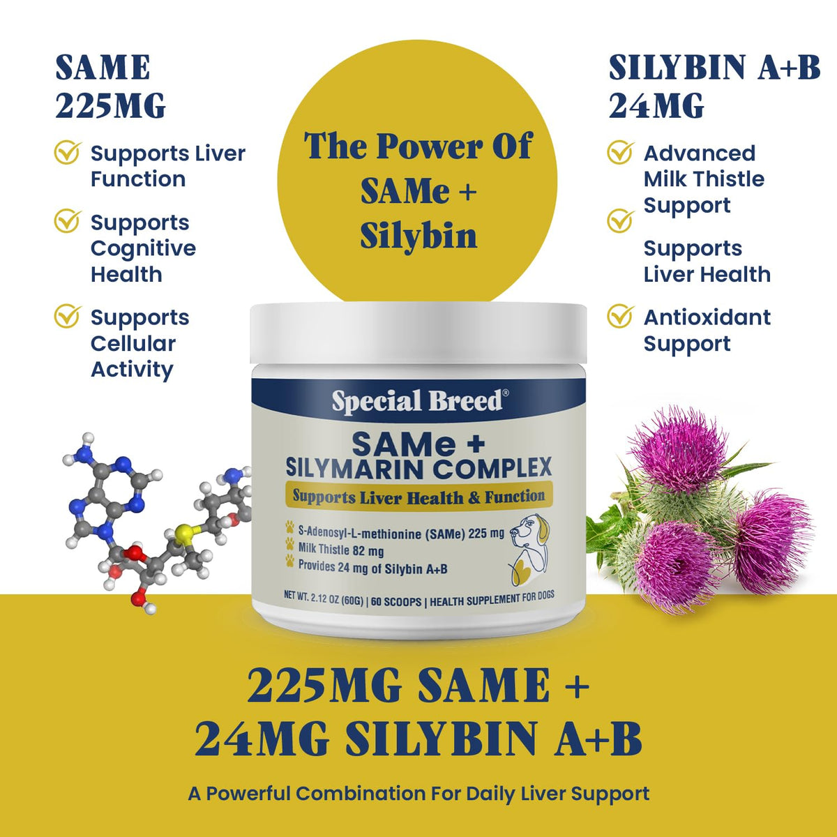 Milk Thistle Supplement Powder J3878