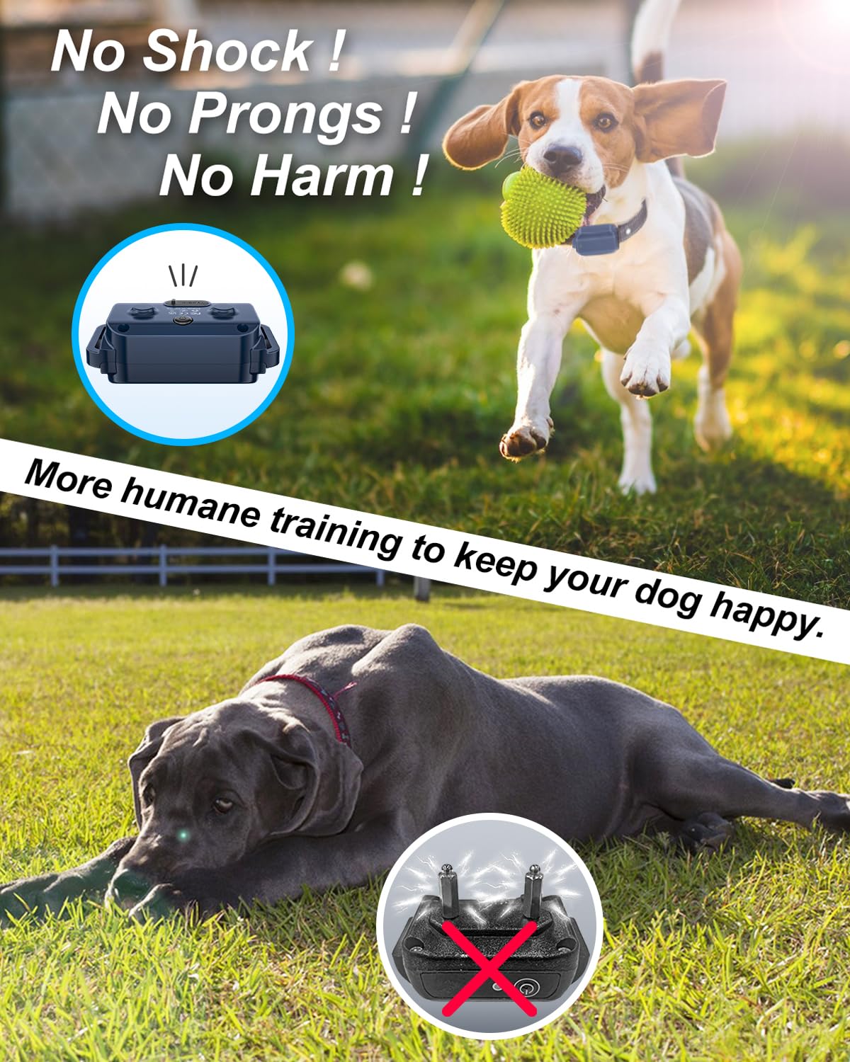 No Shock Dog Training Collar with Remote Waterproof Rechargeable X239685