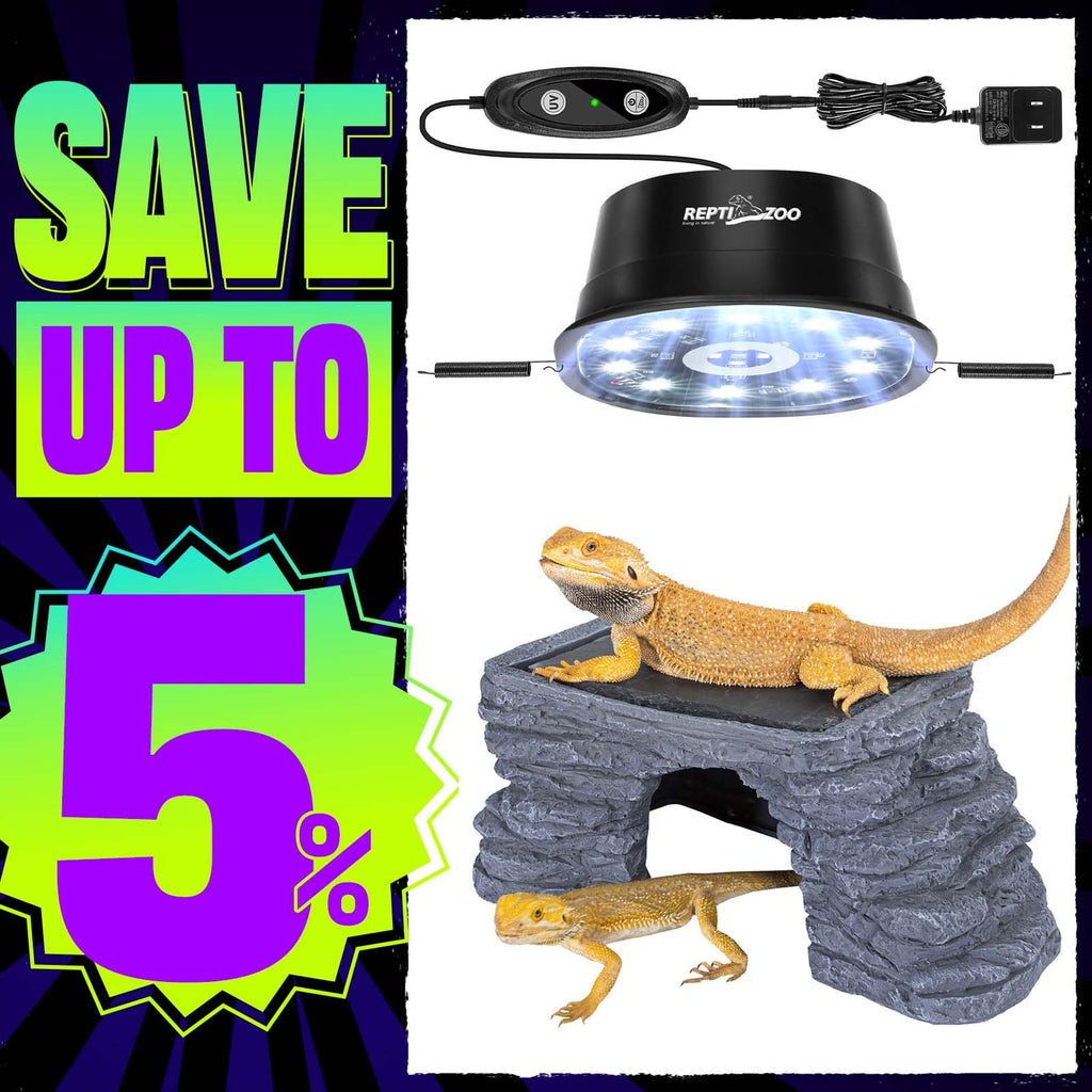 UVB Reptile Light with Basking Platform Combo Kit P9231