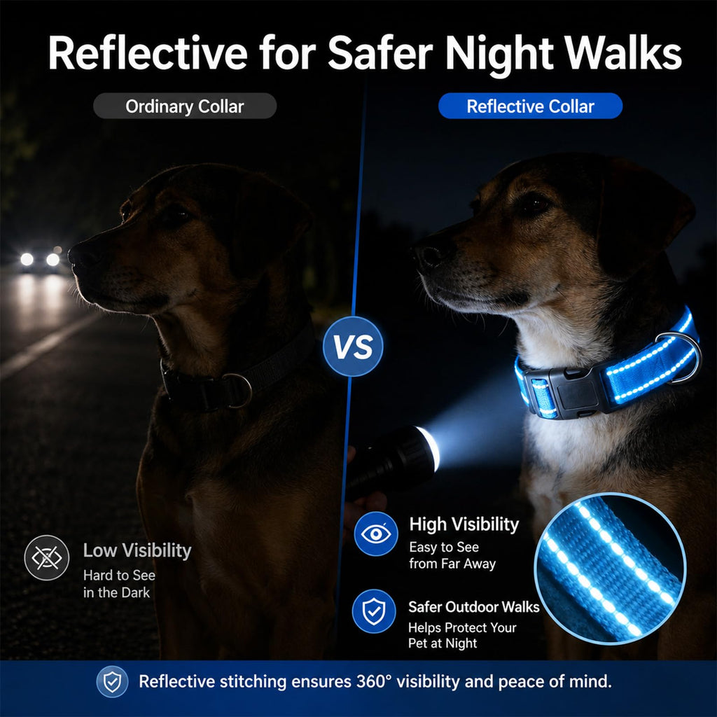 Adjustable Reflective Custom Dog Collar Y2489