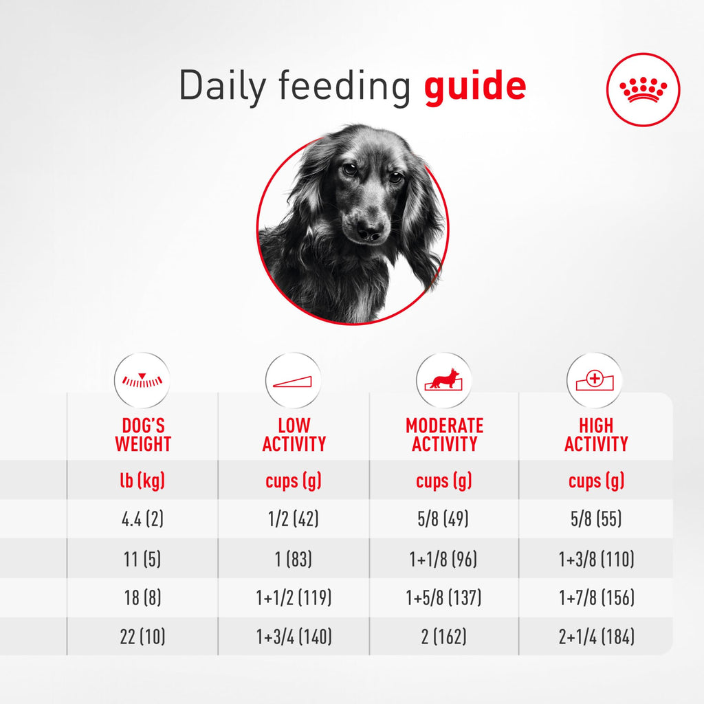 Adult Dry Dog Food 10 lb Bag R75845
