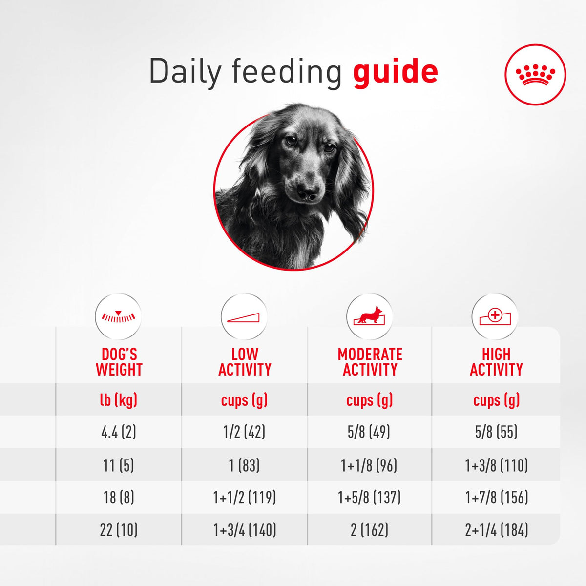 Adult Dry Dog Food 10 lb Bag R75845