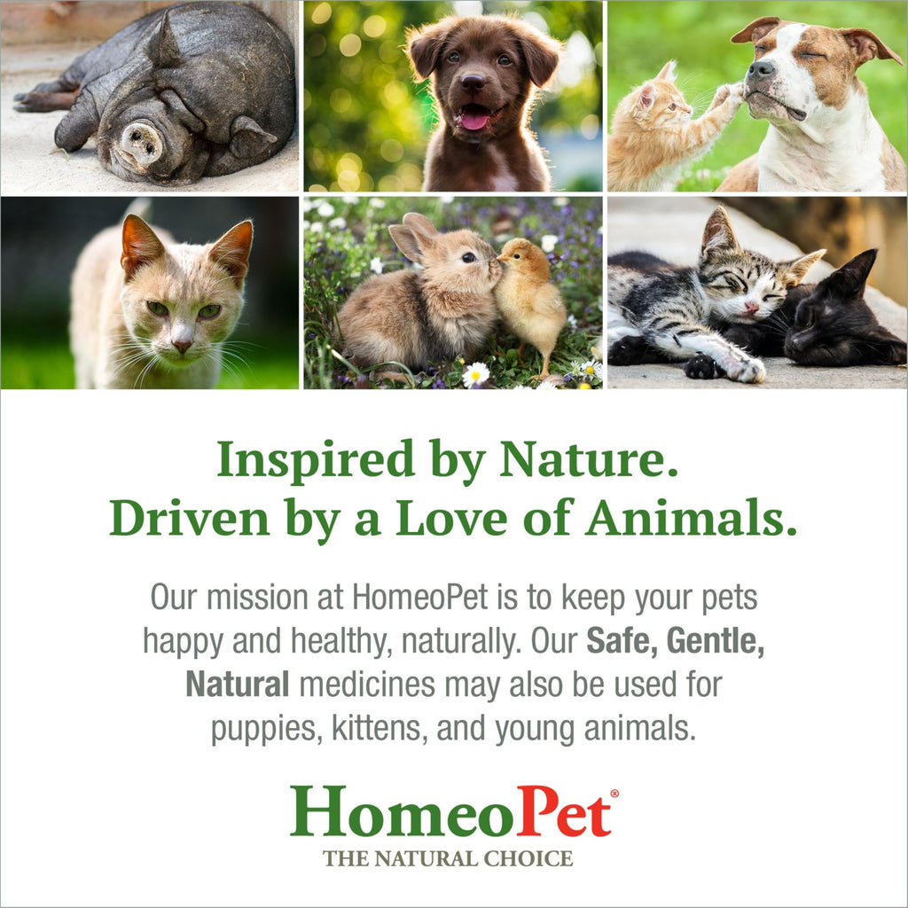 Liver Rescue Supplement for Dogs and Cats 15 Milliliters N228740