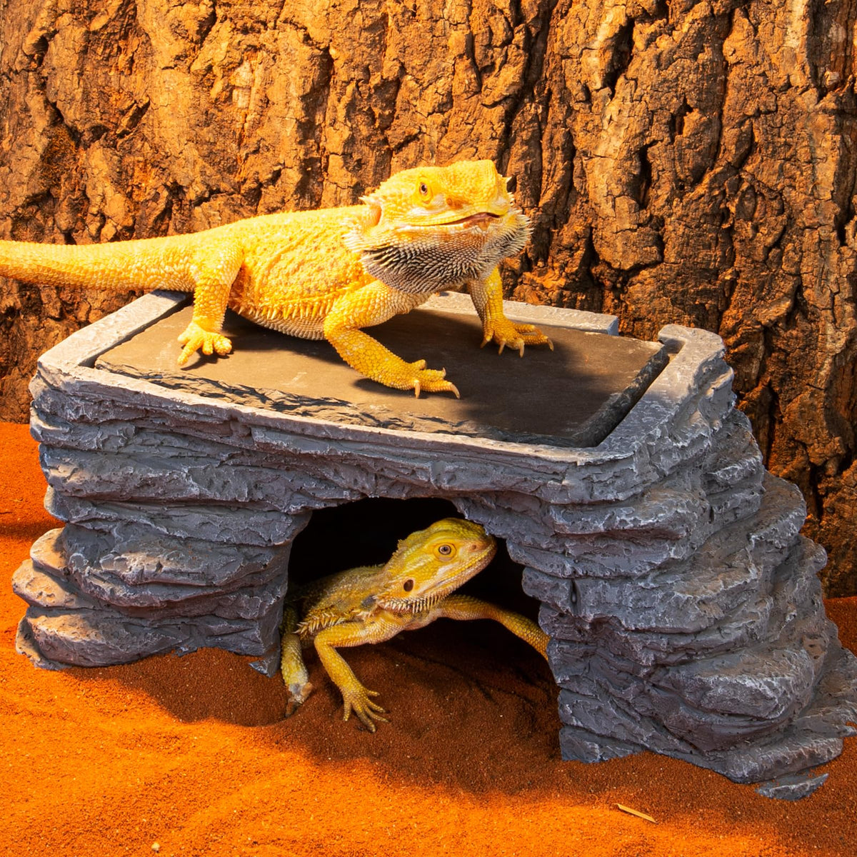 UVB Reptile Light with Basking Platform Combo Kit P9231