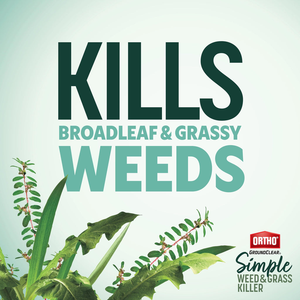 Weed & Grass Killer with Comfort Wand, 1 gal. F98361