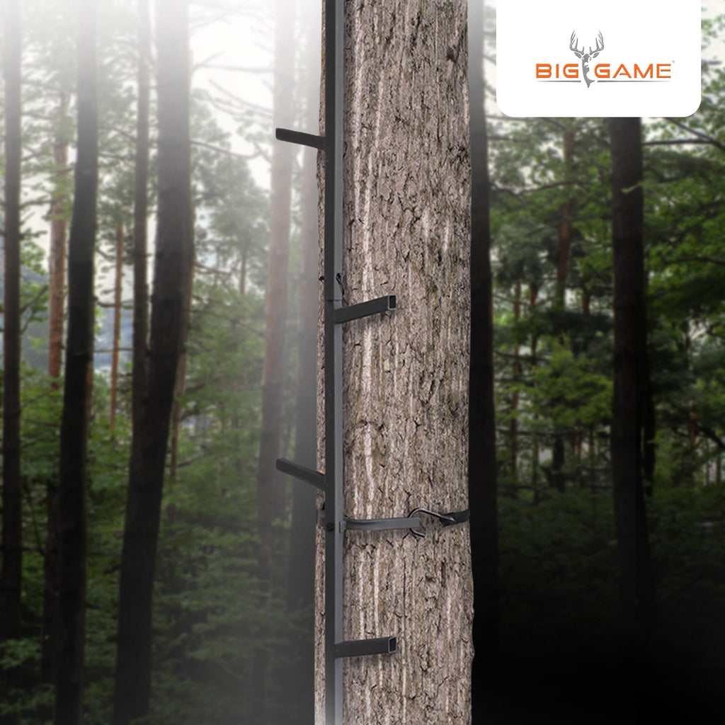 Climbing Ladder Sticks X795152