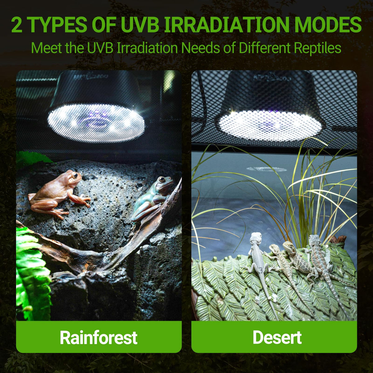 UVB Reptile Light with Basking Platform Combo Kit P9231