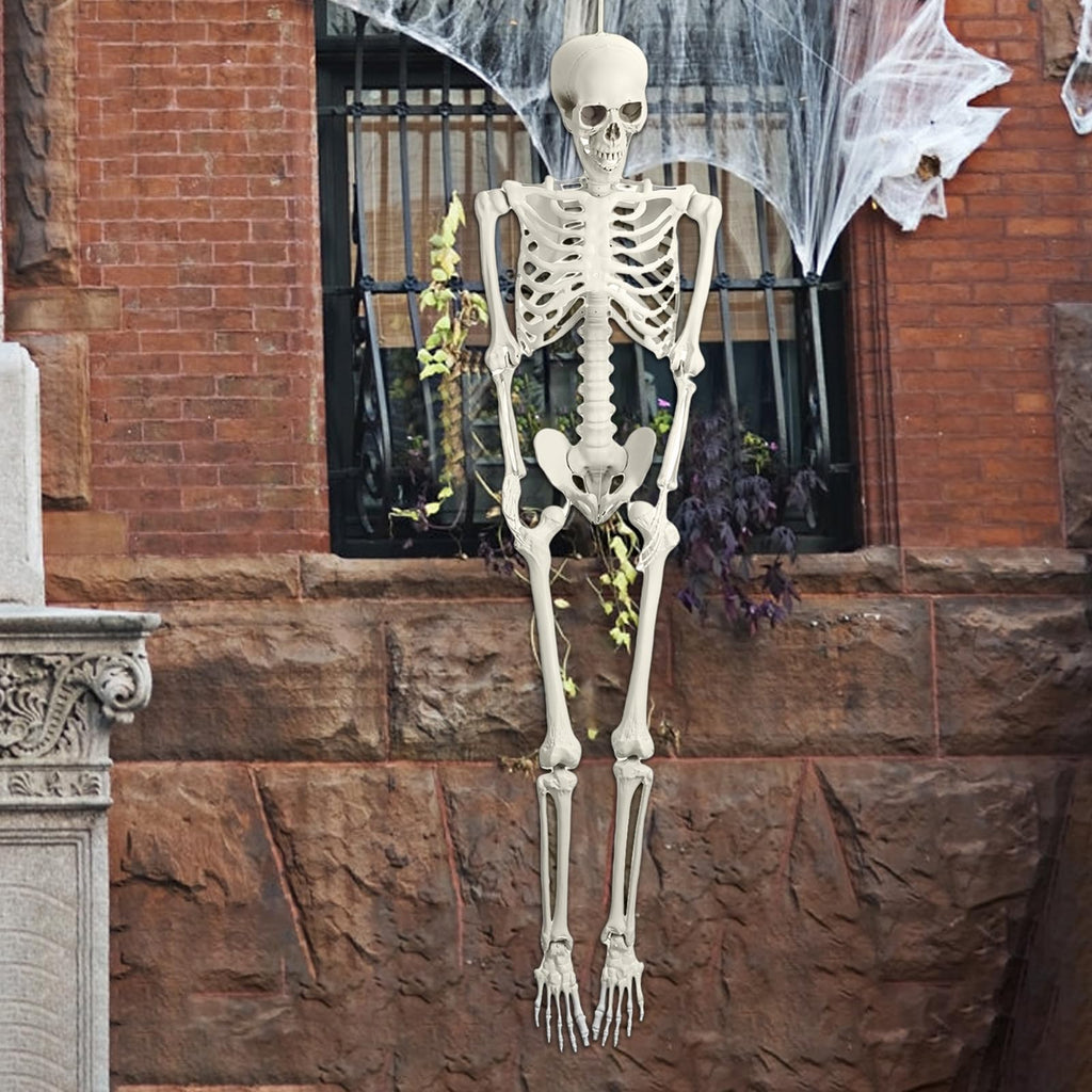 Life Size Poseable Skeleton with Movable Joints C85085