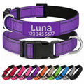 Adjustable Reflective Custom Dog Collar Y2489