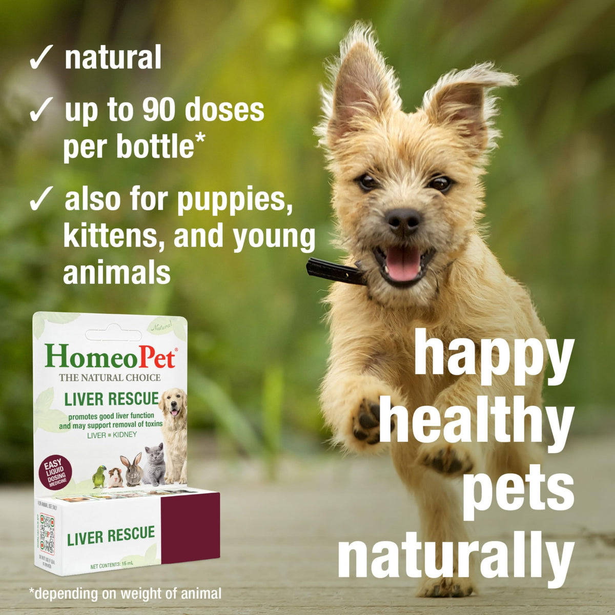 Liver Rescue Supplement for Dogs and Cats 15 Milliliters N228740