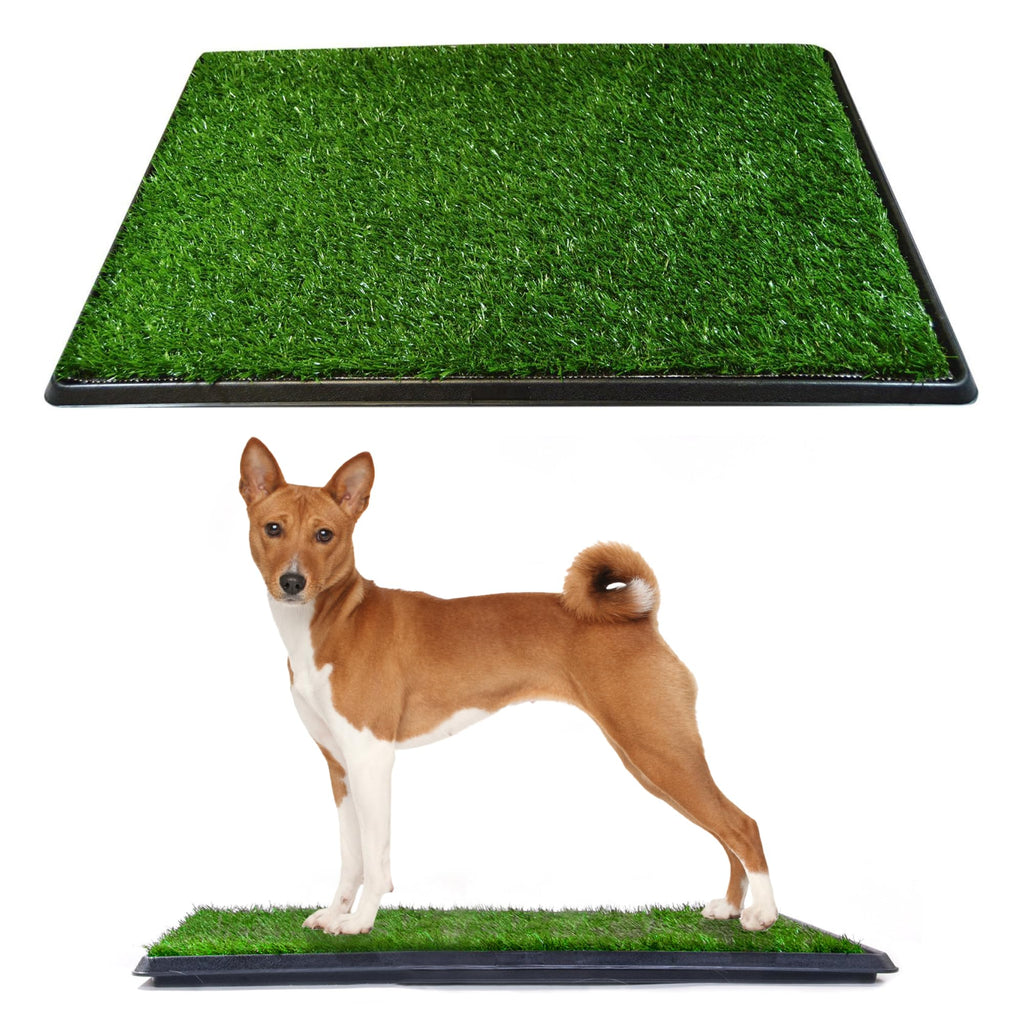Dog Grass Pad with Tray 20 x 25 J730697