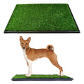 Dog Grass Pad with Tray 20 x 25 J730697