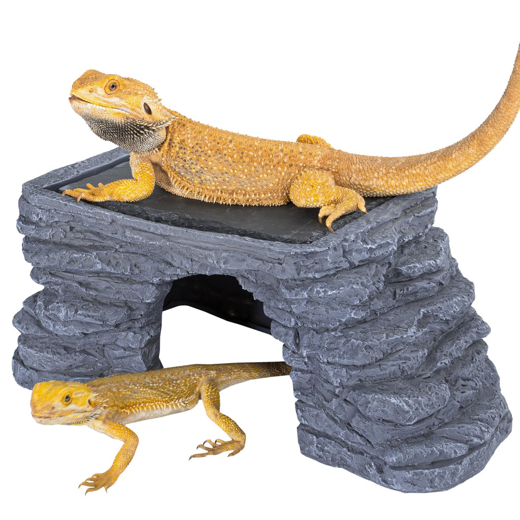 UVB Reptile Light with Basking Platform Combo Kit P9231