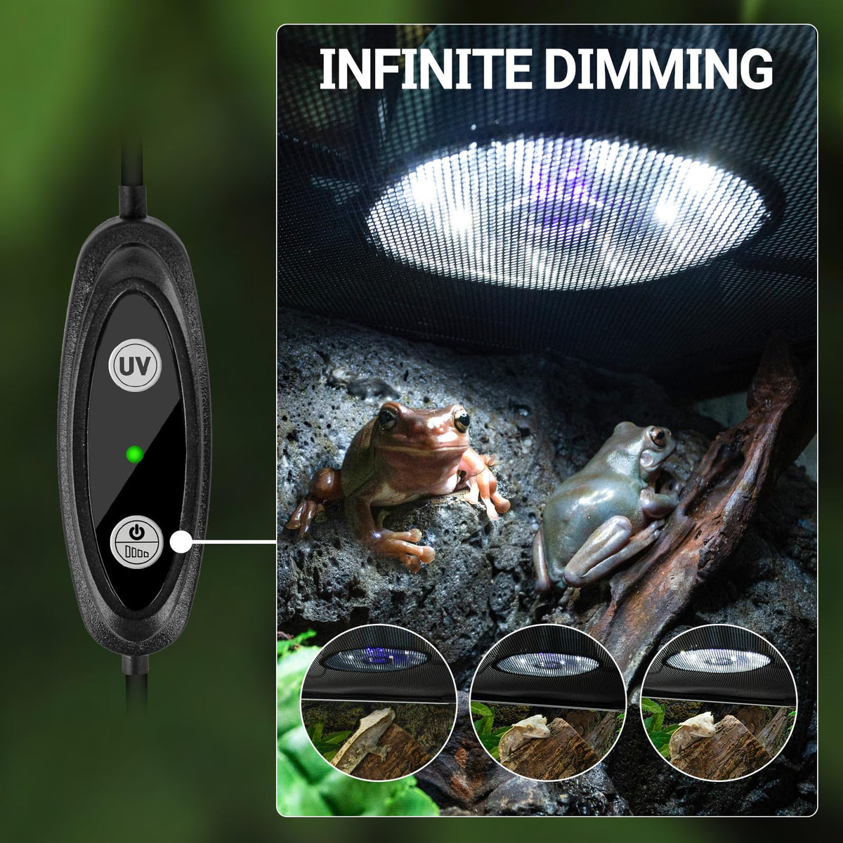 UVB Reptile Light with Basking Platform Combo Kit P9231