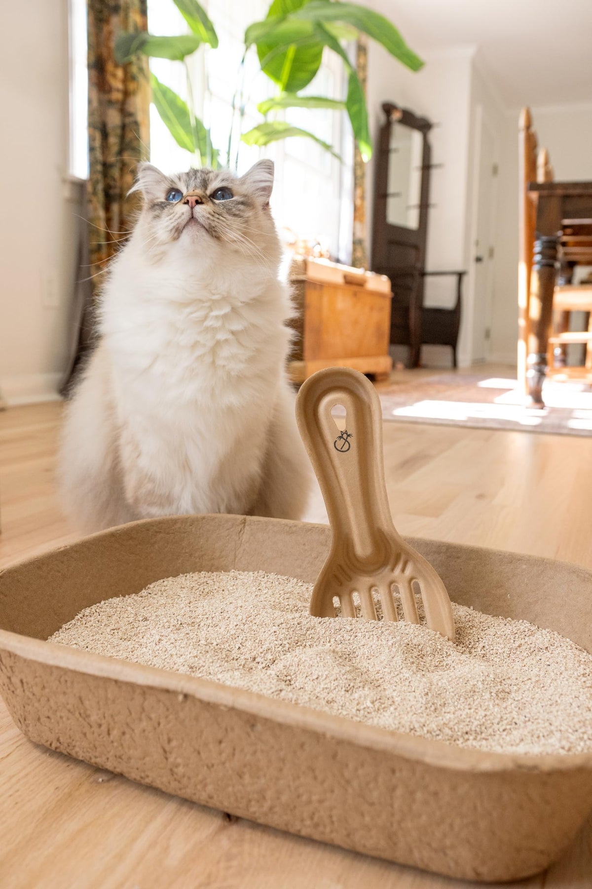 Disposable Cat & Rabbit Litter Scoops 6-Pack K21424