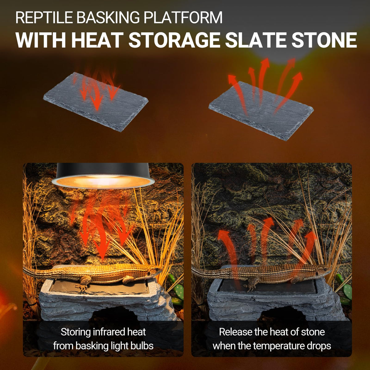 UVB Reptile Light with Basking Platform Combo Kit P9231