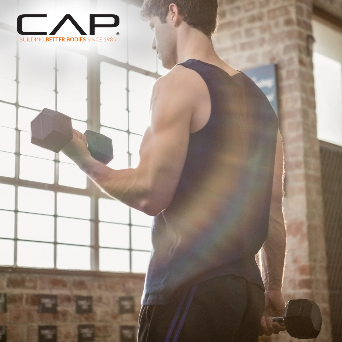 Rubber Coated Hex Dumbbells W75669