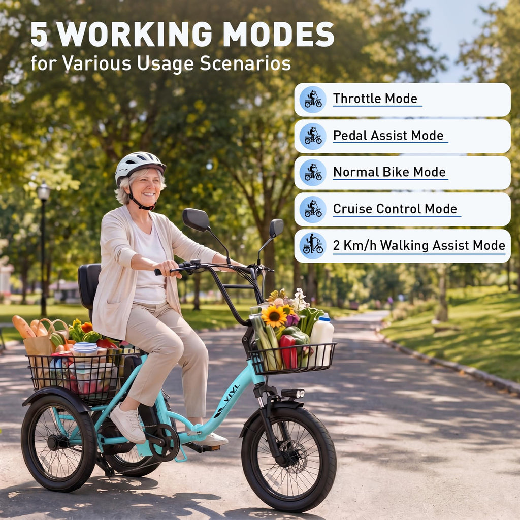 Folding Electric Tricycle 1000W 48V 18" Tire F390