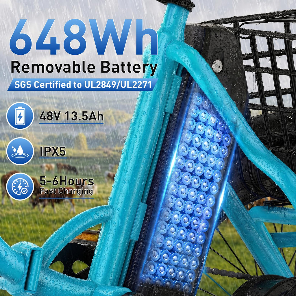 Folding Electric Tricycle 1000W 48V 18" Tire F390