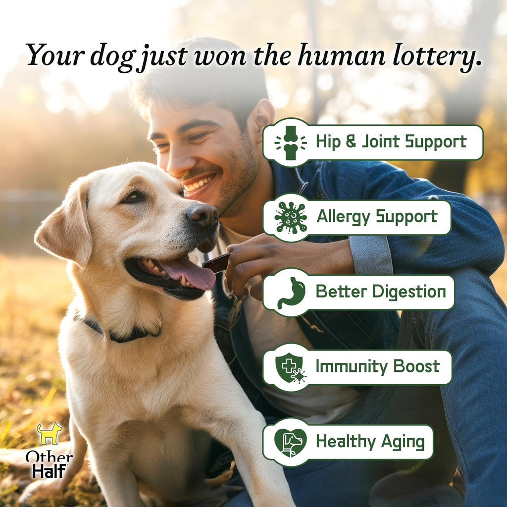Dog Multivitamin Supplement with Glucosamine Chondroitin Omega 3 Probiotics S8171