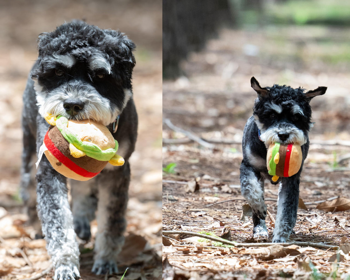 Plush Food Shaped Dog Toy with Squeaker A20017