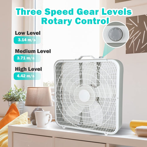 20 Inch White 3-Speed Box Fan D500