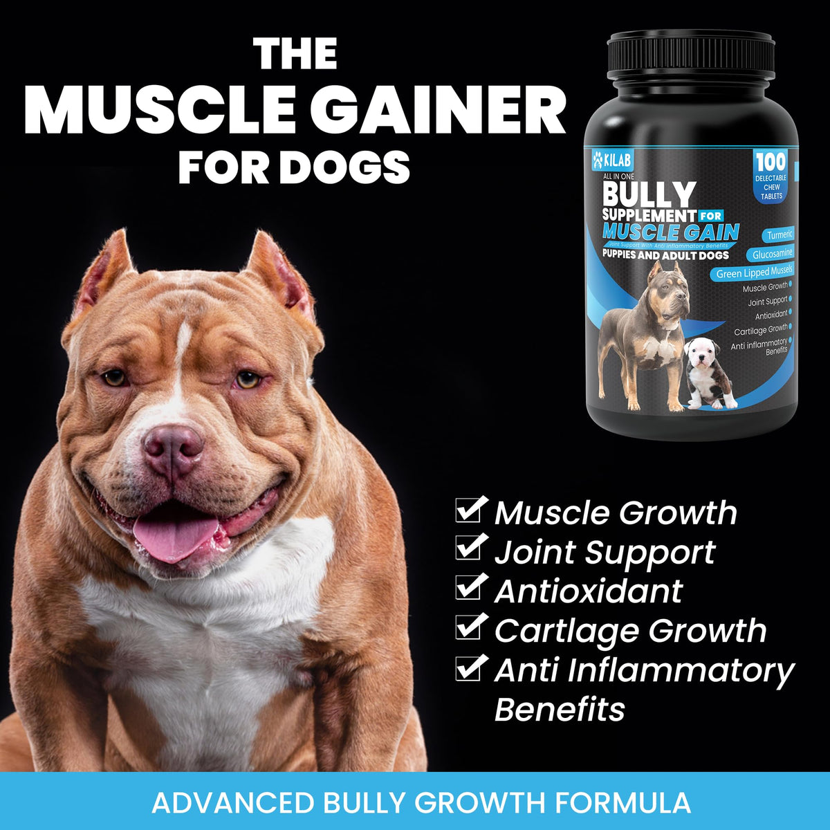Dog Weight Gainer Supplement with Turmeric, Glucosamine, Green Lipped Mussels R5122